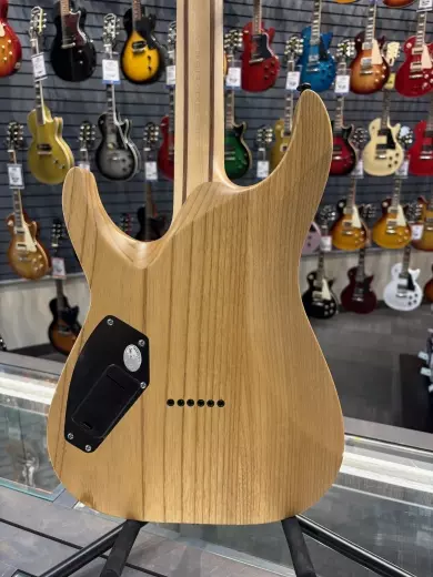 Schecter - 1500-SHC 5
